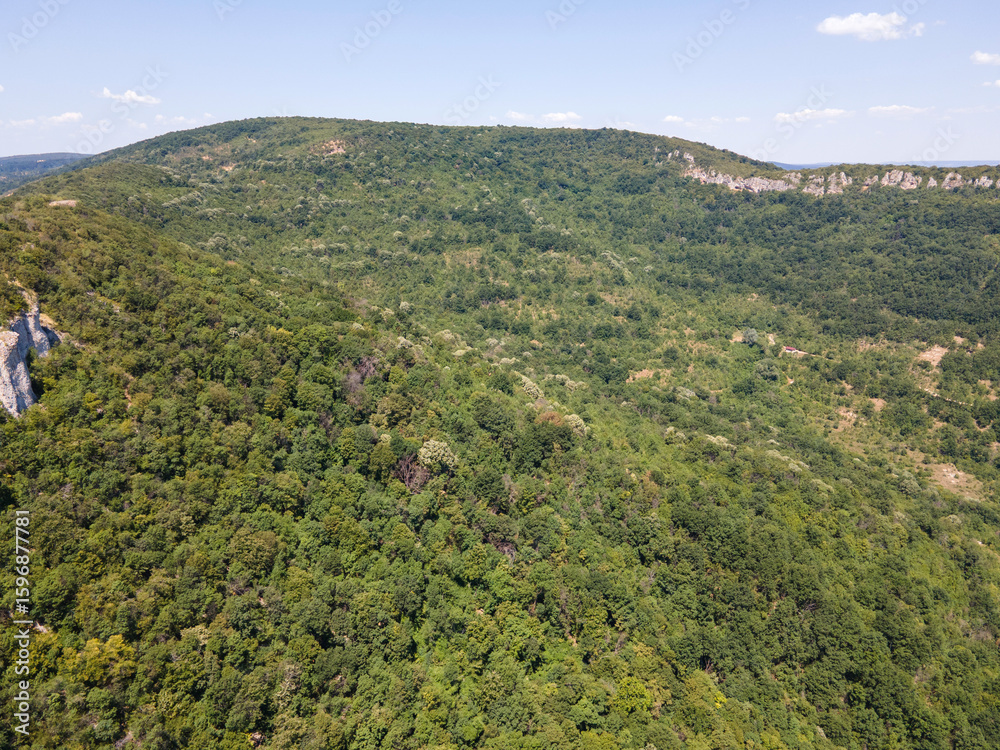 Fototapeta premium Aerial view of Tsonevo Reservoir, Bulgaria