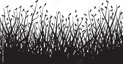 Many birds perched on thin branches against a white background silhouette black