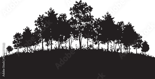 Silhouette of trees and foliage against a white background black