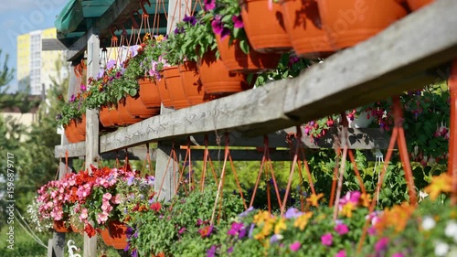 Colorful hanging flower pots decorating a wooden rack in a garden center