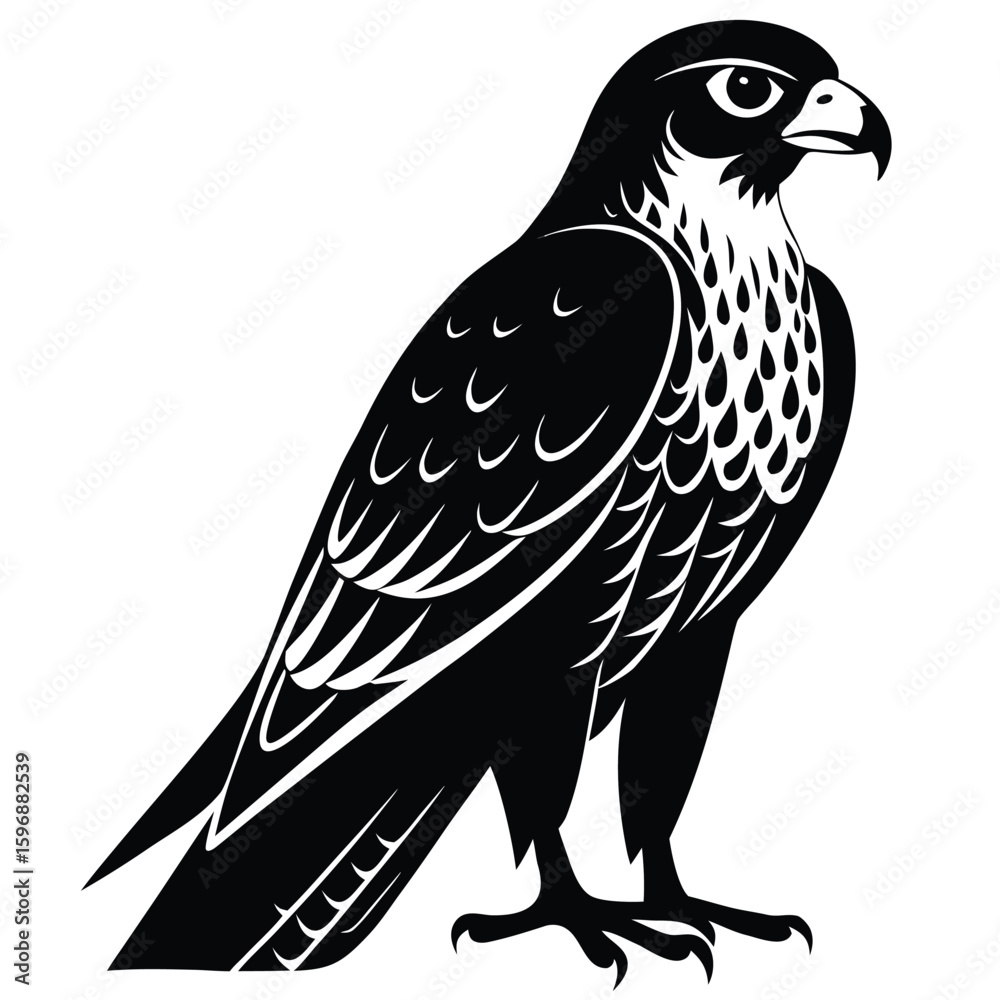 Fototapeta premium Realistic Black Silhouette Of A Falcon Resting On
