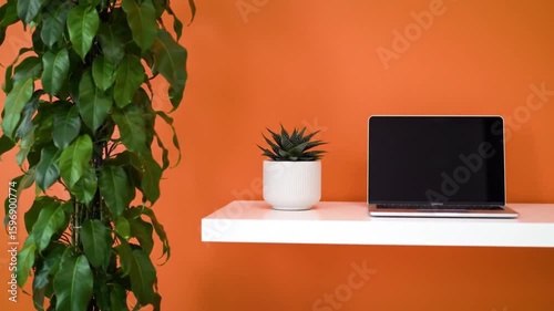 A laptop and two plants are on a white shelf against an orange wall in a well lit room setup