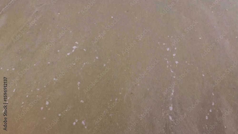 Gentle Wave and Clear Water Sweeping Sandy Shoreline Gentle Wave and Clear Water Sweeping Sandy Shoreline