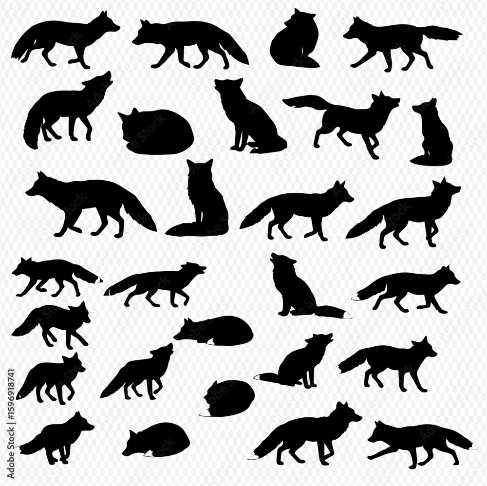 Fototapeta premium A collection of fox silhouettes, displaying various poses such as standing, sitting, walking, howling, and lying down, set against a transparent background.