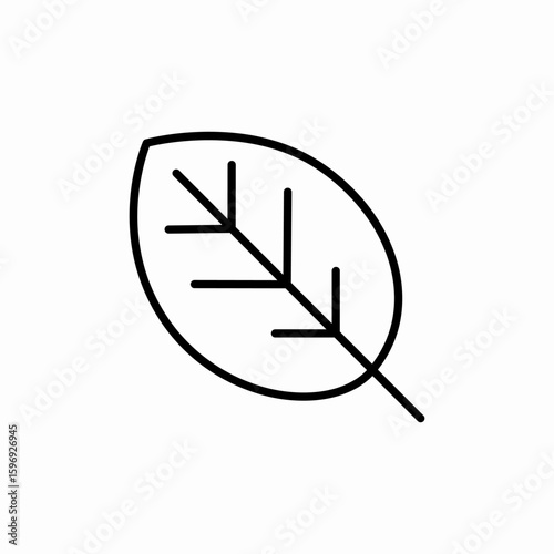 tree leaf icon sign vector