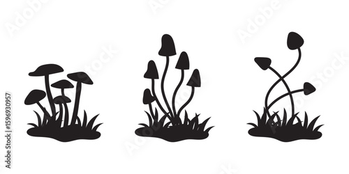Mushroom Silhouettes: Minimalist silhouettes of diverse mushrooms in a natural setting, conveying the essence of nature's bounty and charm.