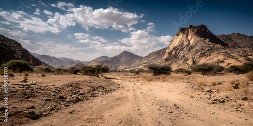 A parched landscape of dusty earth scattered with rocks extends across the view, showcasing the rugged essence of a dry desert passage rich in arid features.