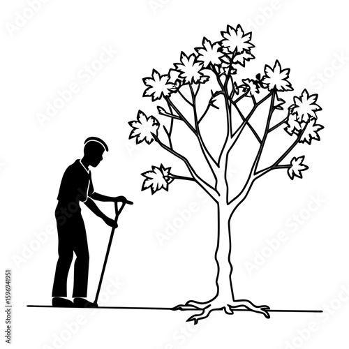 Man pruning a maple tree with gardening tools in a garden  