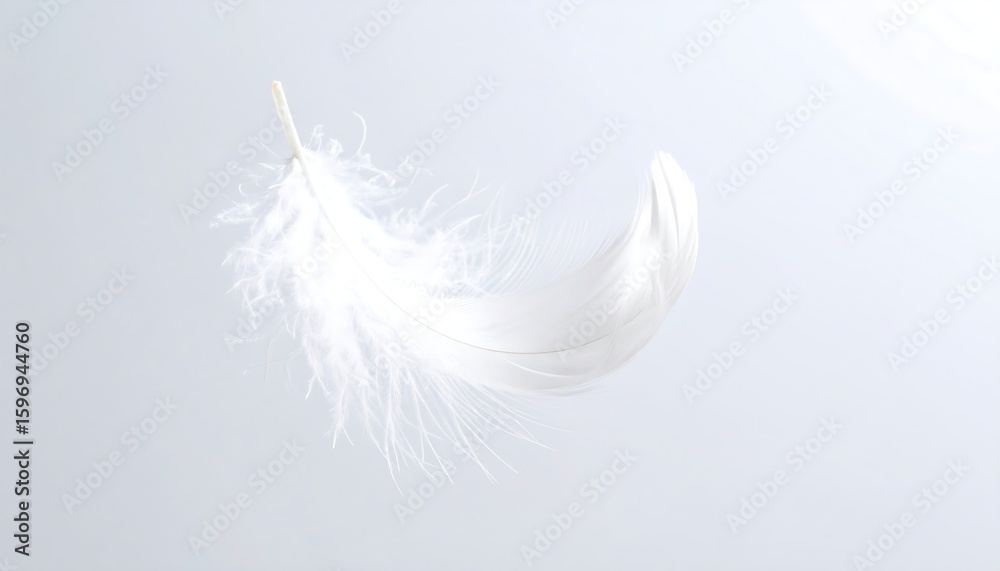 Fototapeta premium White feather floating gently against a light gray background