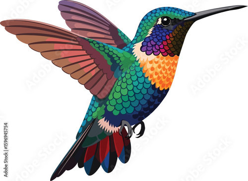 Illustration of a colorful hummingbird with wings spread against a plain white background view