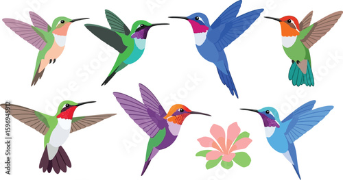 Illustration of several colorful hummingbirds in flight with a flower on a white background