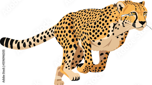 Illustration of a cheetah running with tears coming from its eyes on a plain white background