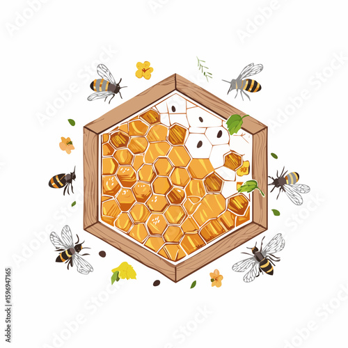 Interior of a beehive showing comb layout, bee activity, and wax structure, drawn in technical vector detail.