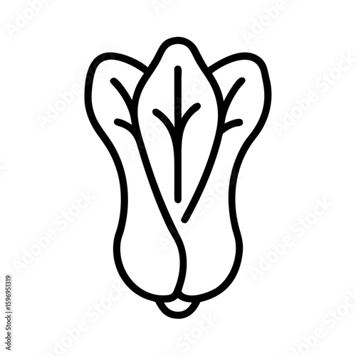 Outline drawing of bok choy showing leaves and stem in a simple black and white representation style