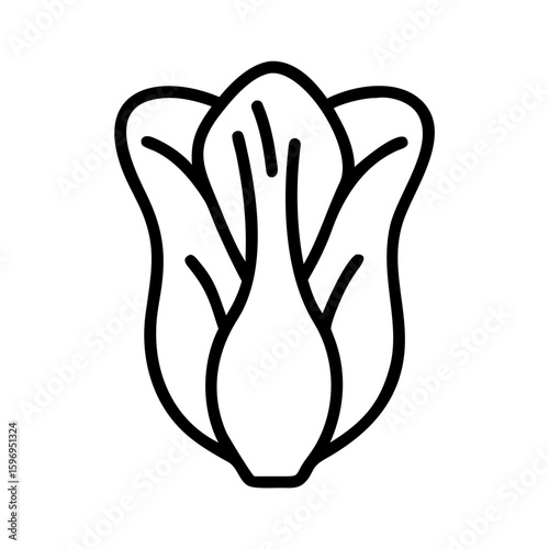 Simple graphic depiction of a bok choy with detailed leaf outlines and a clear shape design element present