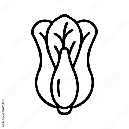 Outline drawing of a bok choy with detailed leaves and a bulbous base on a white background element