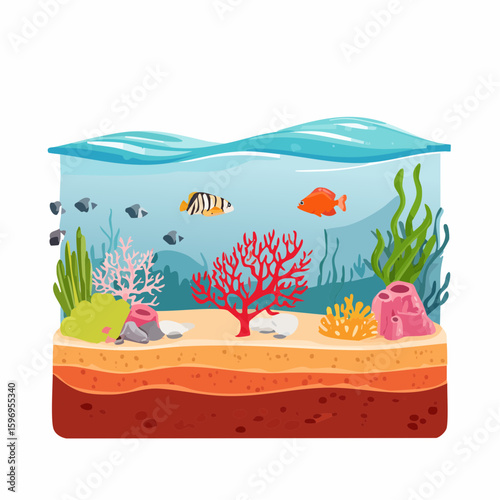 Underwater coral reef cutaway with fish, sand, coral growth, and rock formations drawn in vector linework.
