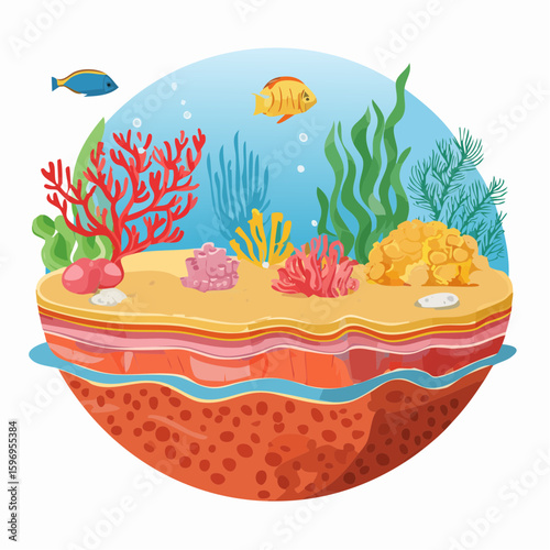 Underwater coral reef cutaway with fish, sand, coral growth, and rock formations drawn in vector linework.