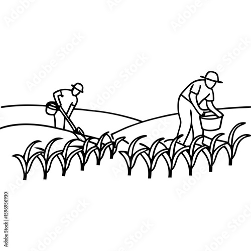 Harvest in progress with farmers working in field with crops. Harvest in progress with line art showing agricultural labor, rural economy, and seasonal work, symbolizing a sustainable harvest.