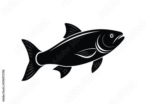 Salmon fish silhouette black vector white background