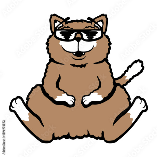 Cat Pet Cool Sunglasses Smile Happy Cute Laughing