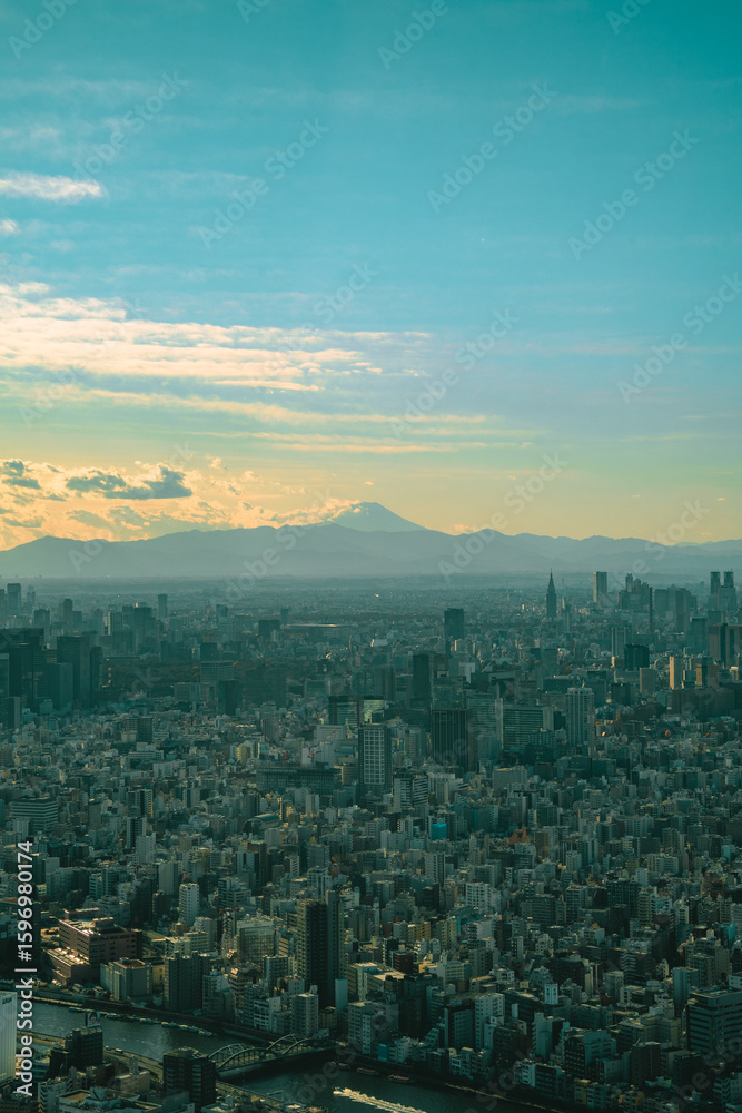 Fototapeta premium aerial view of the city
