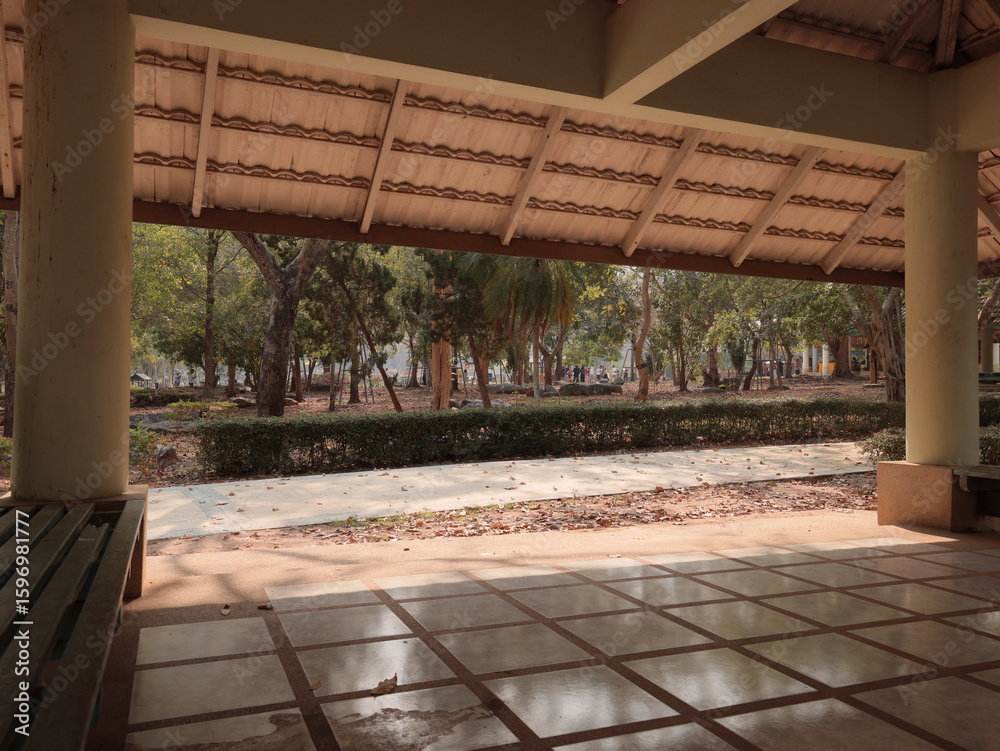 Fototapeta premium A Serene Outdoor Space Featuring Lush Greenery and an Open, Expansive View of Nature