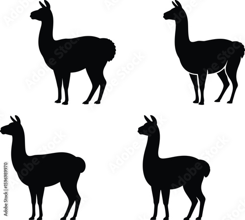 Four black silhouette llamas standing on a white background