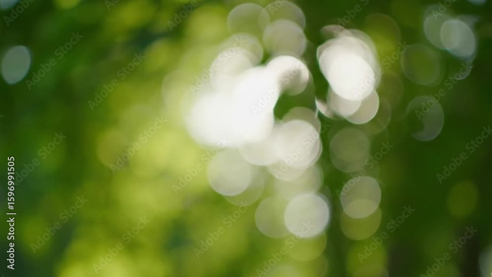 green bokeh background