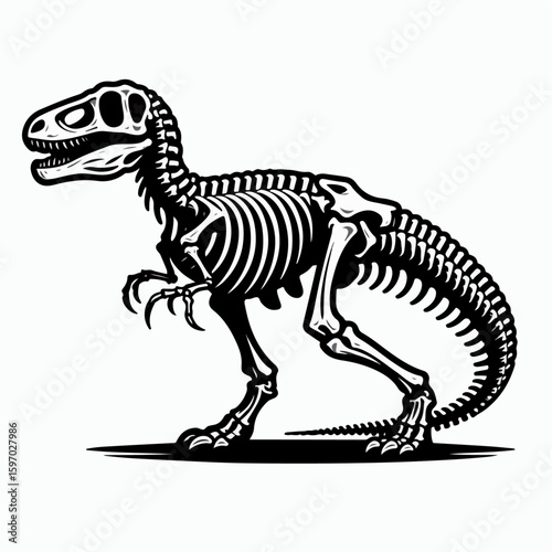 dinosaur skeleton vector illustration