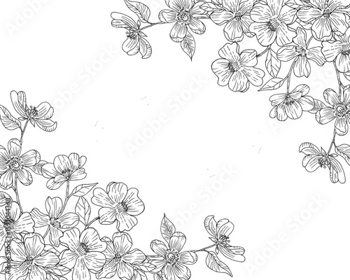 Hand Drawn Jasmine Flower Border