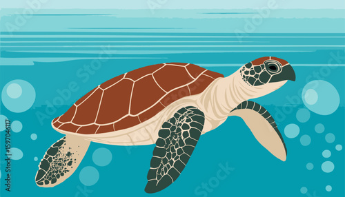 A sea turtle moving through clear water