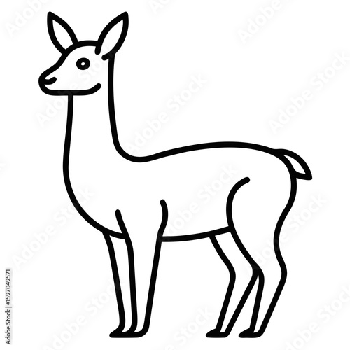 Vicuna on white background
