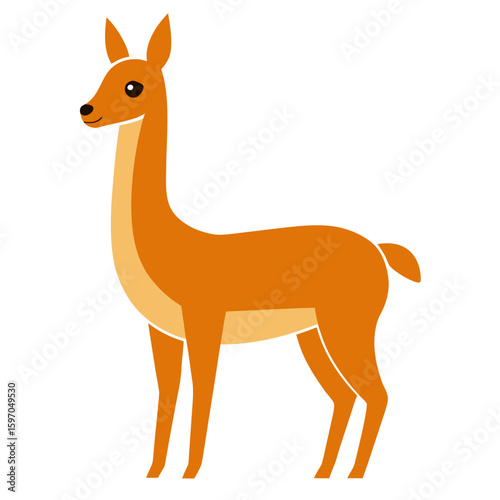 Vicuna on white background