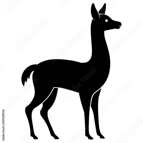 Vicuna on white background