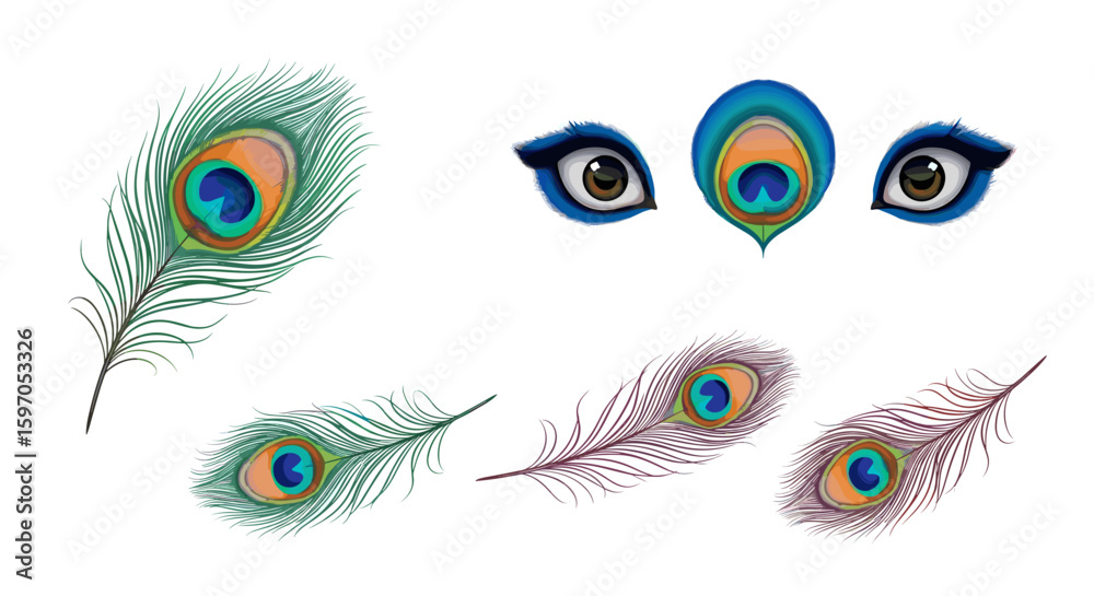 Obraz premium Illustration of peacock feathers in various colors and a set of cartoonish eyes on a white background