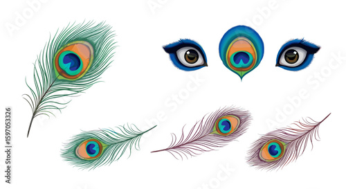 Illustration of peacock feathers in various colors and a set of cartoonish eyes on a white background