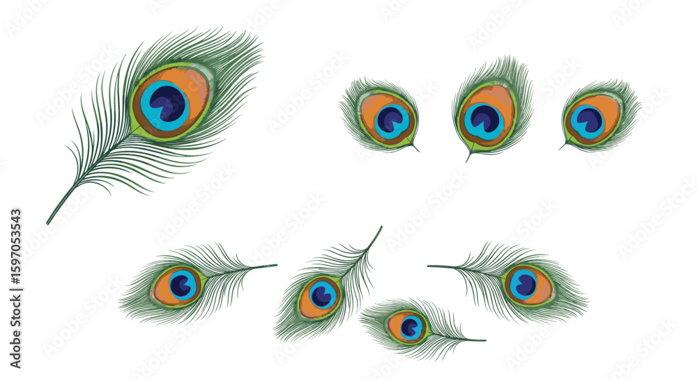 Obraz premium Composition of several peacock feathers with vibrant colors scattered on a white background view
