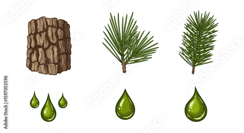 Illustration of pine tree bark needles and oil drops showcasing natural forest elements in detail art style