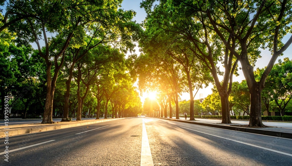 Fototapeta premium Sunny avenue lined with trees