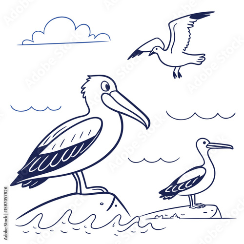Cute blue ink drawings of sea birds and clouds pelican seagull