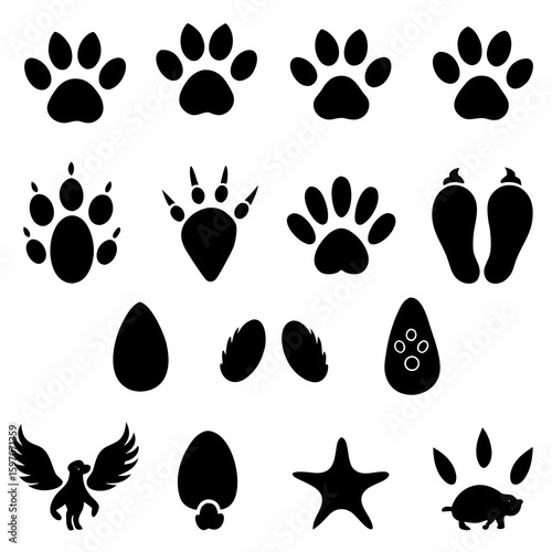 Collection of Various Animal Tracks and Paw Prints