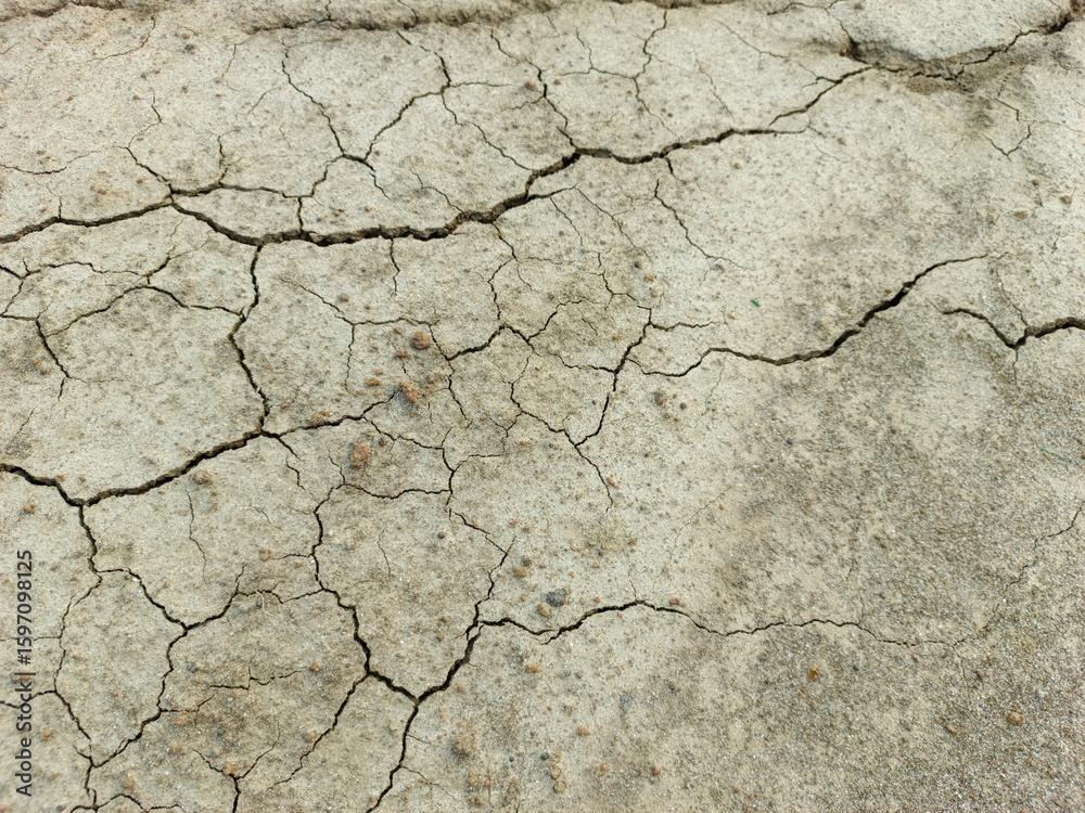 Obraz premium dry cracked soil Barren ground earth surface background wallpaper 