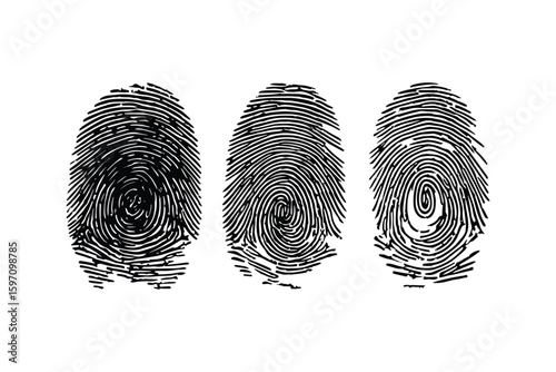 variation of fingerprint silhouettes for biometric identification