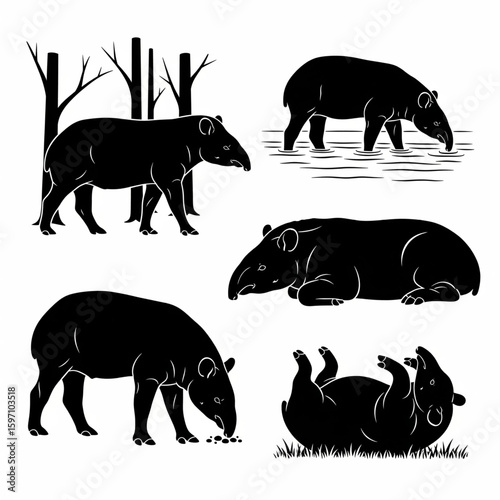 Black and white Victor photo of tapir