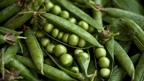 Fresh Green Peas: A Bountiful Harvest