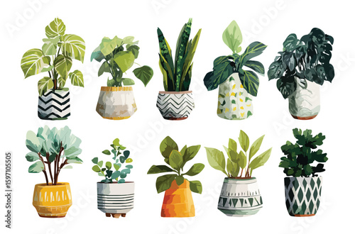 Set flowers in pots
