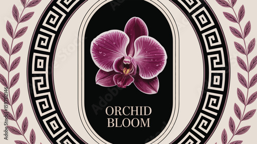 Elegant orchid flower with water droplets in a decorative frame with Greek key pattern and foliage, perfect for botanical designs and sophisticated floral compositions