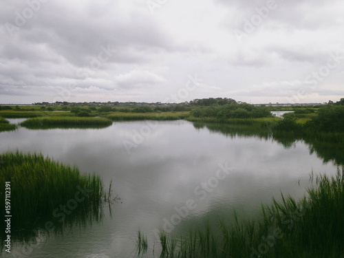 Still salt marsh waters reflect green foliage under a soft overcast sky.