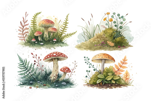 set of watercolor moss vector illustration isolated on white background